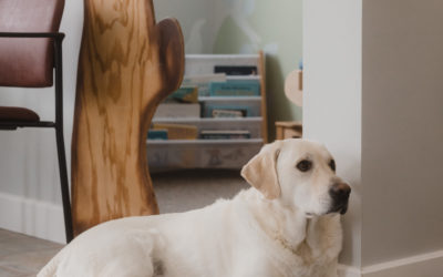 Family Chiropractic Centre, Pembroke, Ontario